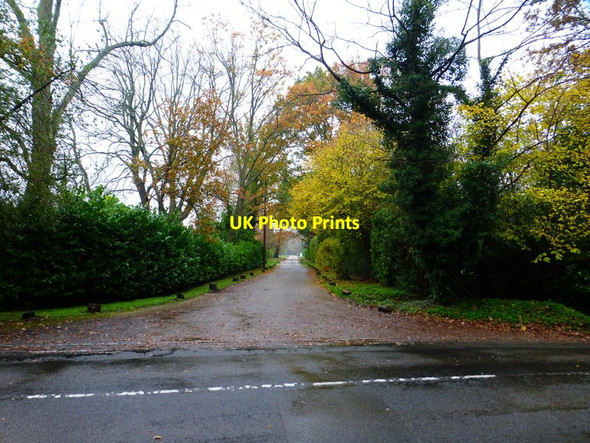 Photo 6"x4" Looking into Mount Road Woking c2014