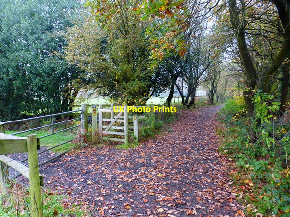 Photo 6"x4" Footpath junction by the airport Mimbridge c2014