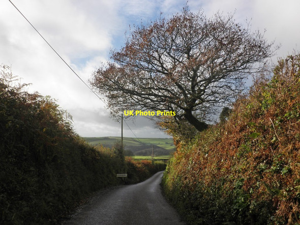 Photo 6"x4" Entering Loxhore Loxhore c2014