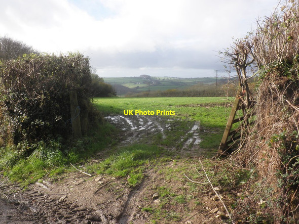 Photo 6"x4" Field access, above Loxhore Loxhore c2014
