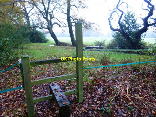 Photo 6"x4" Stile near footpath junction south of Chertsey Road Mimbridge c2014