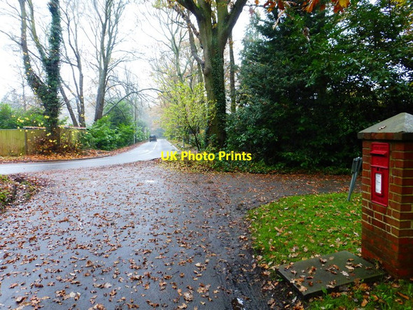 Photo 6"x4" Looking across the bend on Philpot Lane Woking c2014