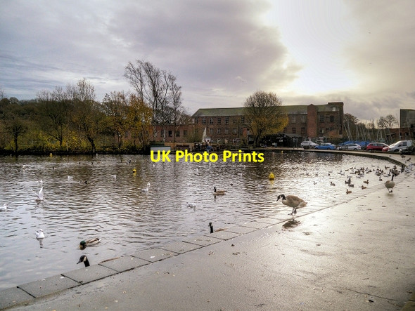 Photo 6"x4" Lake at Etherow Country Park Romiley c2014