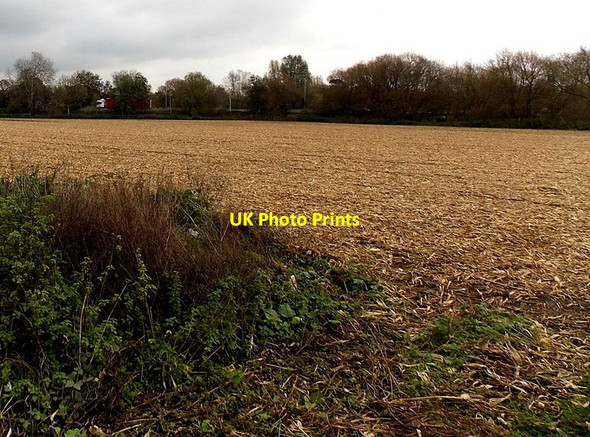 Photo 6"x4" November view of a Melksham field Melksham c2014