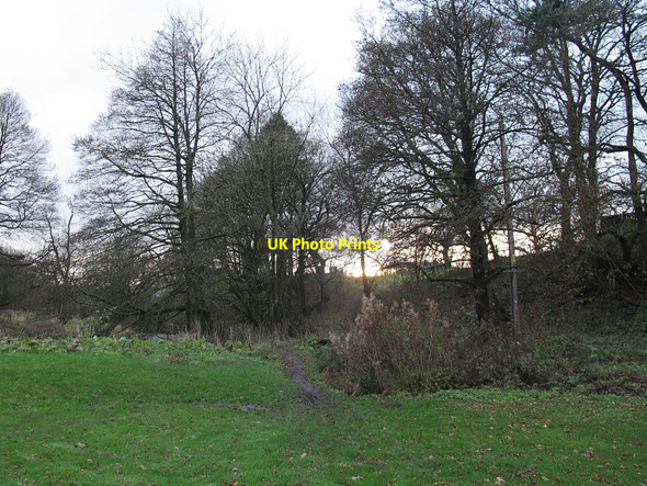 Photo 6"x4" Path to the parish church Slaidburn c2014