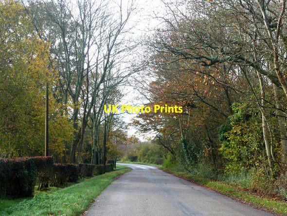 Photo 6"x4" Cowfold Lane Mattingley c2014