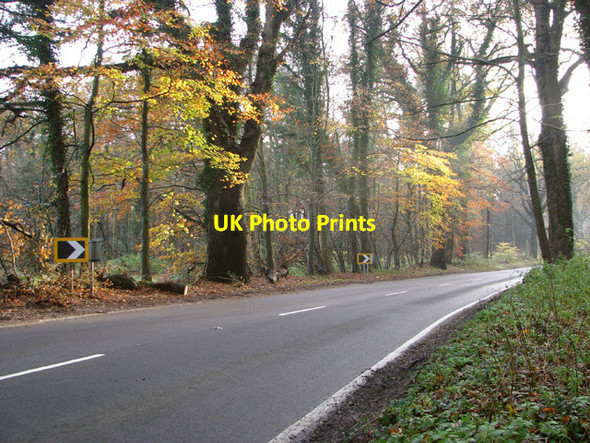Photo 6"x4" On the edge of Sawmill Wood Weasenham All Saints c2014