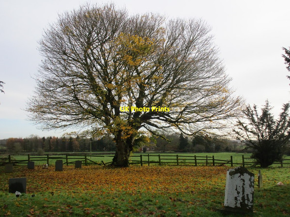 Photo 6"x4" Autumn in Lowthorpe churchyard Lowthorpe c2014