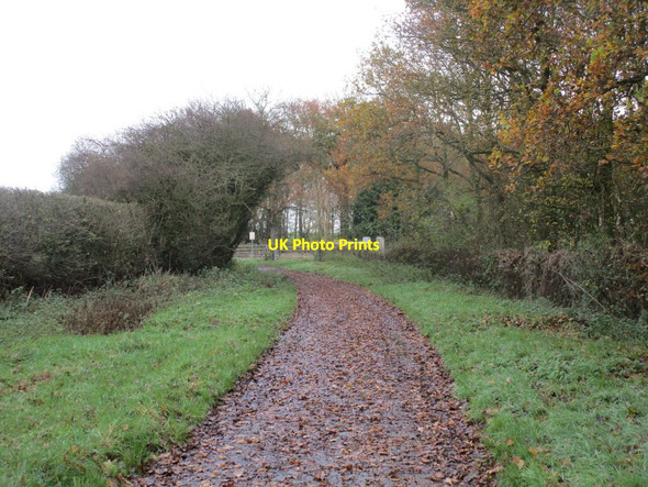 Photo 6"x4" Approaching Harpham Crossing Harpham c2014