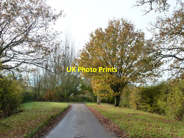 Photo 6"x4" Great Dover Street Fair Oak Green c2014