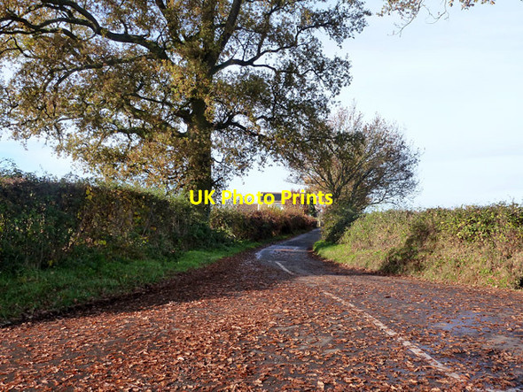 Photo 6"x4" Drury Lane Mortimer c2014