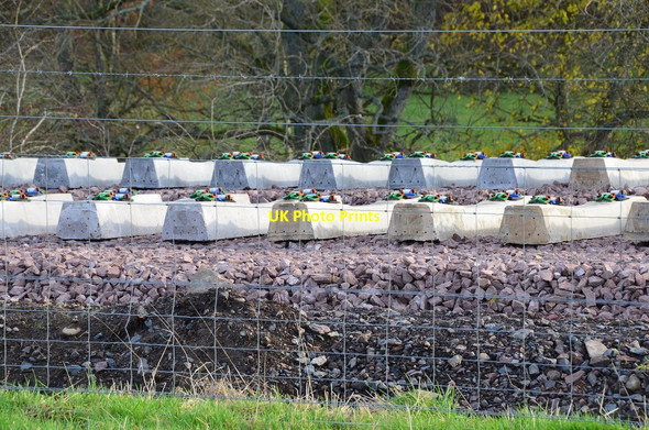 Photo 6"x4" Sleepers awaiting the rails, Borders Railway Torsonce c2014