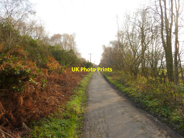 Photo 6"x4" The Coach Road, Rainford Rainford c2014