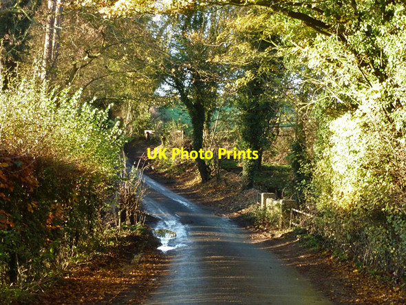 Photo 6"x4" Dip on Admoor Lane Southend\/SU5970 c2014
