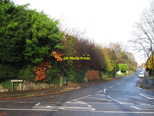 Photo 6"x4" Hornchurch Hill, Whyteleafe Warlingham c2014