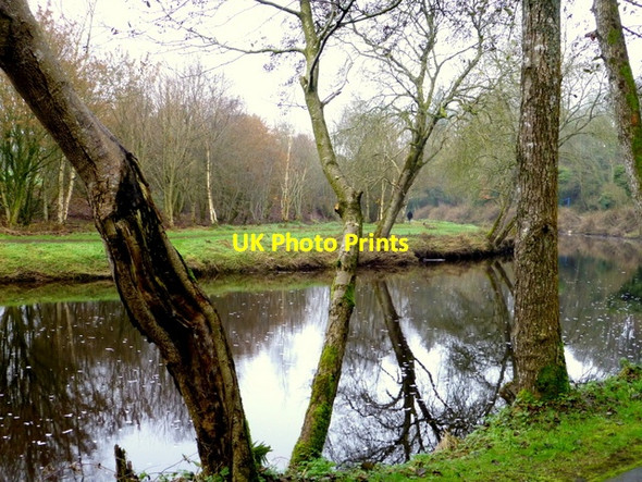 Photo 6"x4" Trees and reflections, Mullaghmore Omagh c2014