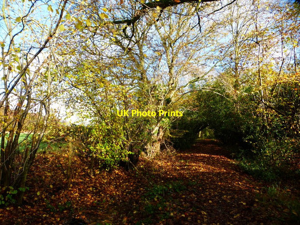 Photo 6"x4" Blind Lane bridleway Brook Place\/SU9561 c2014