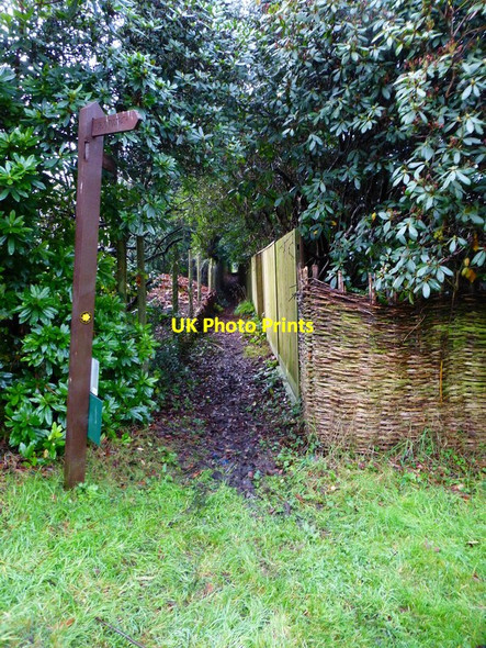 Photo 6"x4" Twitten provides exit from golf course Scotswood\/SU9466 c2014