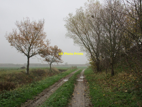 Photo 6"x4" Approaching the bend in the bridleway Fenton\/SK8750 c2014