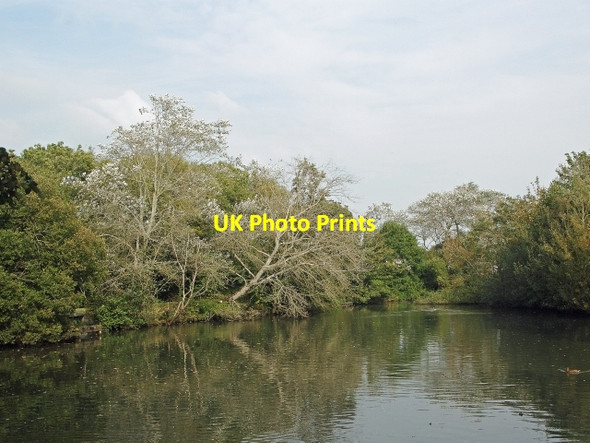 Photo 6"x4" Trees and water at The Wilderness, Porthcawl Porthcawl c2014