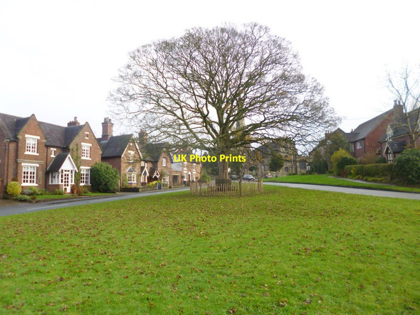 Photo 6"x4" Astbury, village green Congleton c2014