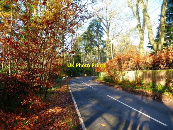 Photo 6"x4" The corner on Coronation Road South Ascot c2014