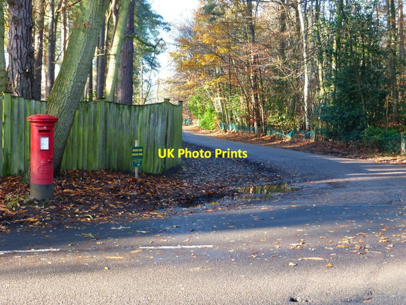Photo 6"x4" The junction of Bodens Ride and Coronation Road South Ascot c2014