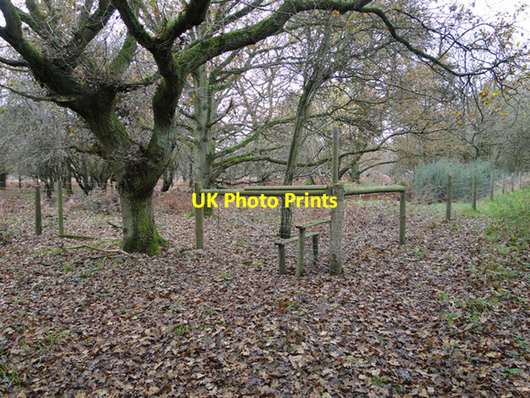 Photo 6"x4" Newly created woodland enclosure Pockthorpe\/TF8127 c2014