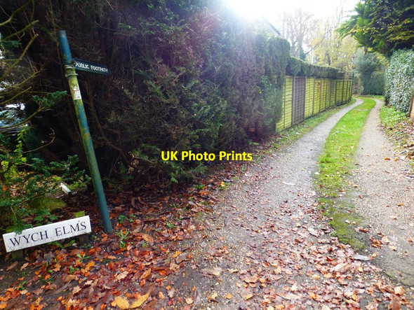 Photo 6"x4" Footpath goes south from Hatton Hill Hatton Hill\/SU9364 c2014