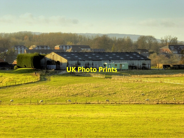 Photo 6"x4" Rothwells Farm Standish\/SD5610 c2014