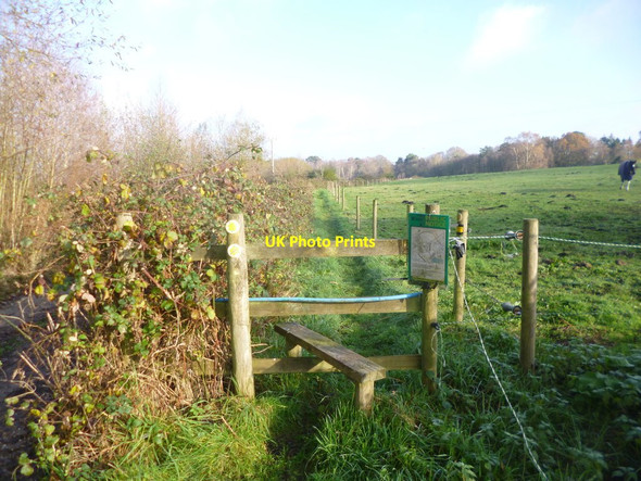 Photo 6"x4" Landford, stile Landford c2014