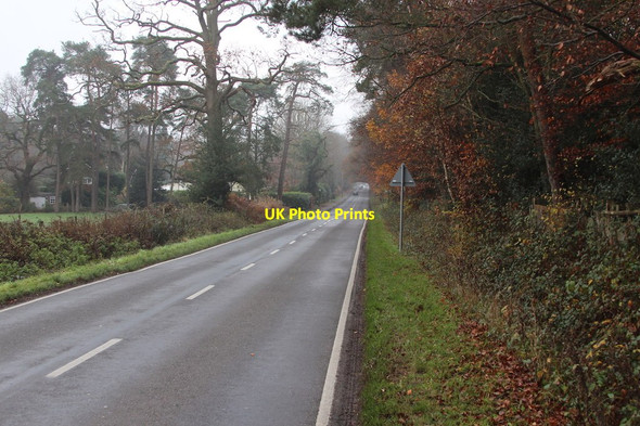 Photo 6"x4" Felcourt Road Felcourt c2014