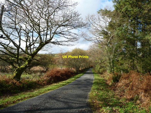 Photo 6"x4" The road to Efail Cenin Llecheiddior\/SH4743 c2014