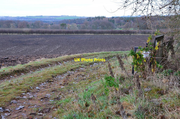 Photo 6"x4" Seat with a view, Temple Temple\/NT3158 c2014