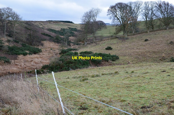 Photo 6"x4" Purvies Hill Burn Temple\/NT3158 c2014