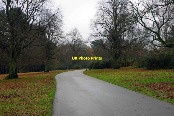 Photo 6"x4" A road in Sutton Park, Sutton Coldfield Sutton Coldfield c2014