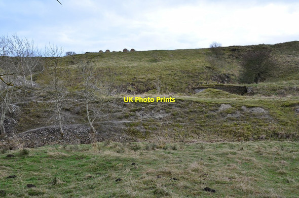 Photo 6"x4" Old limestone quarry near Esperston (2) Middleton\/NT3657 c2014