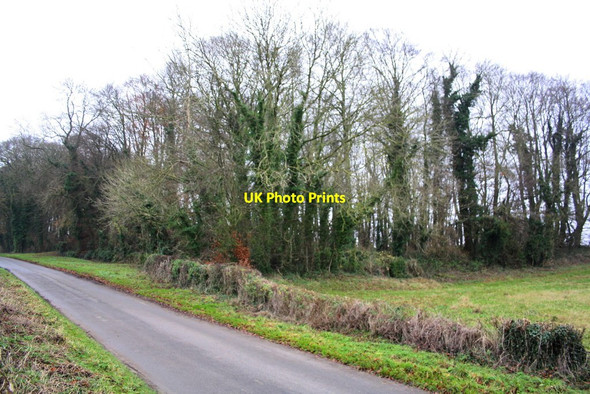 Photo 6"x4" Bend in wood beside minor road and field edge Over Norton c2014