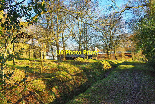 Photo 6"x4" Footpath by Old Springfield Stud Colgate c2010