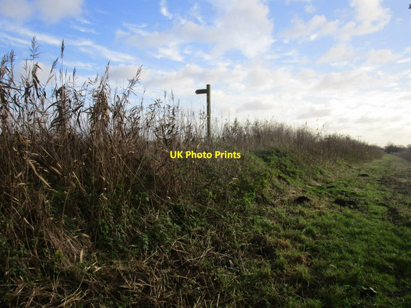 Photo 6"x4" Towpath and footpath sign Hive c2014