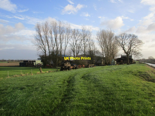 Photo 6"x4" Lorne Farm Hive c2014