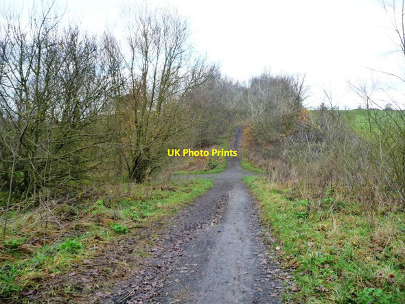 Photo 6"x4" Dropped bridge, Common Ing Lane Newstead\/SE3914 c2014