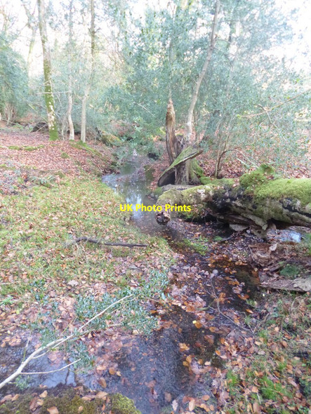 Photo 6"x4" Stoney Cross, brook Upper Canterton c2014