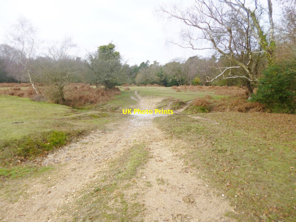 Photo 6"x4" Castle Malwood Walk, ford Upper Canterton c2014