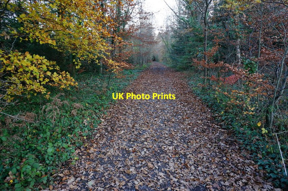 Photo 6"x4" Templer Way Preston\/SX8574 c2014