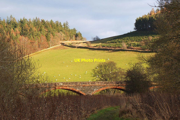 Photo 6"x4" Manor Bridge and sheep pasture Barns\/NT2139 c2014