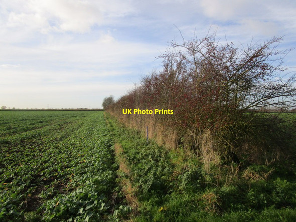 Photo 6"x4" Footpath to the canal bank Hive c2014