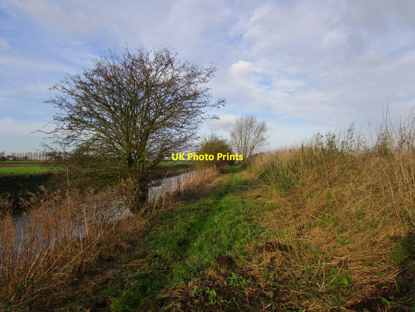 Photo 6"x4" Towpath and the Market Weighton Canal Hive c2014