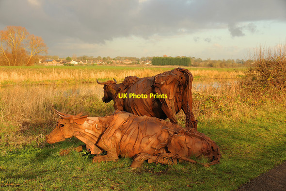 Photo 6"x4" Lincoln Reds Fiskerton\/TF0472 c2014