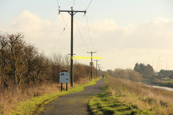 Photo 6"x4" Water Rail Way Bardney c2014